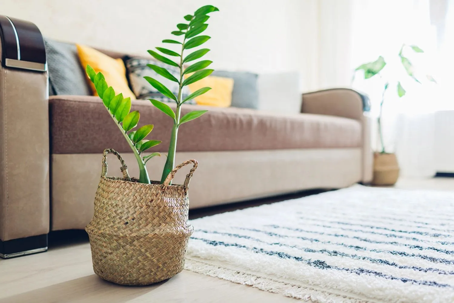 Green Planet Cleaning Services