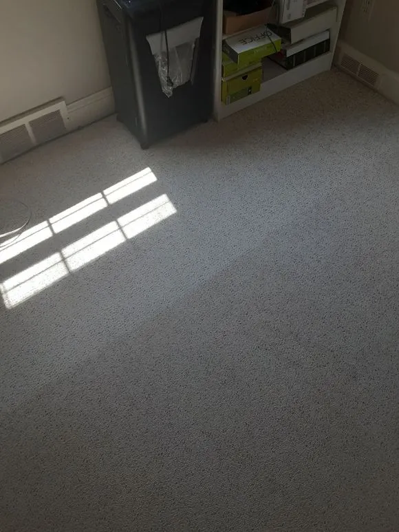 Revive Cleaning