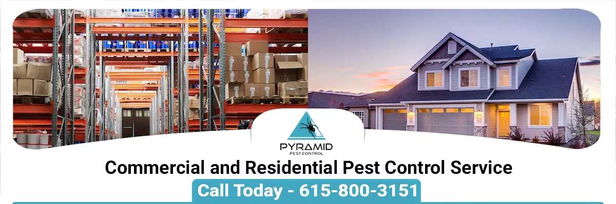 Pyramid Pest Control LLC