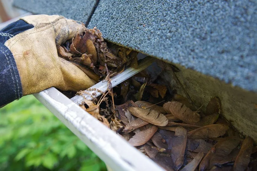 Chesapeake Gutters