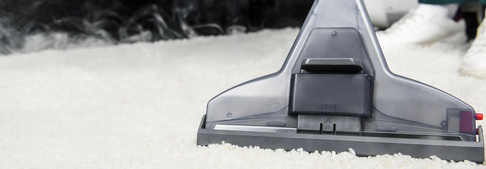 David's Restore Carpet Cleaning