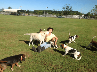 Family Dog Club logo