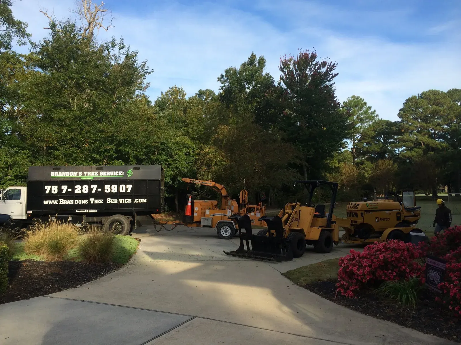 Brandon's Tree Service