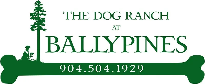 Ballypines Dog Ranch