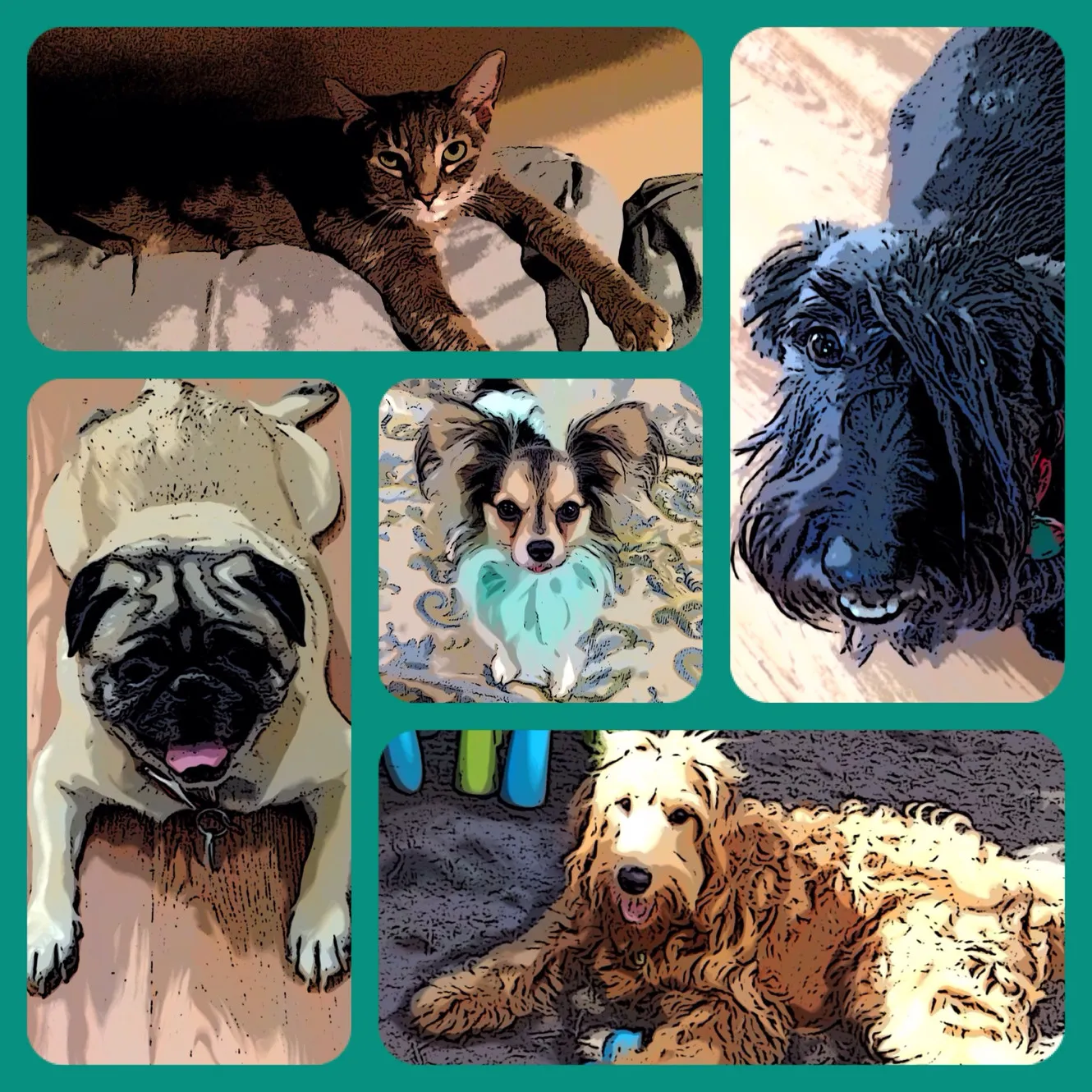 Serenity4pets