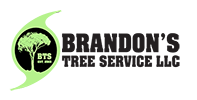 Brandon's Tree Service logo