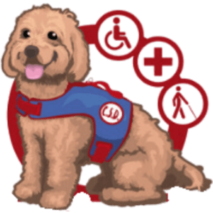 The Service Dog Team Academy logo