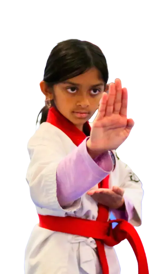 Triangle Karate