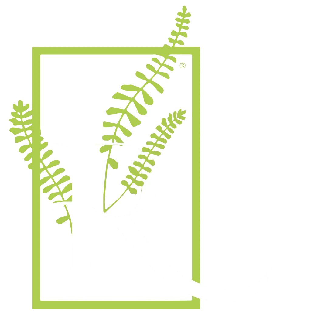 Roots Landscape