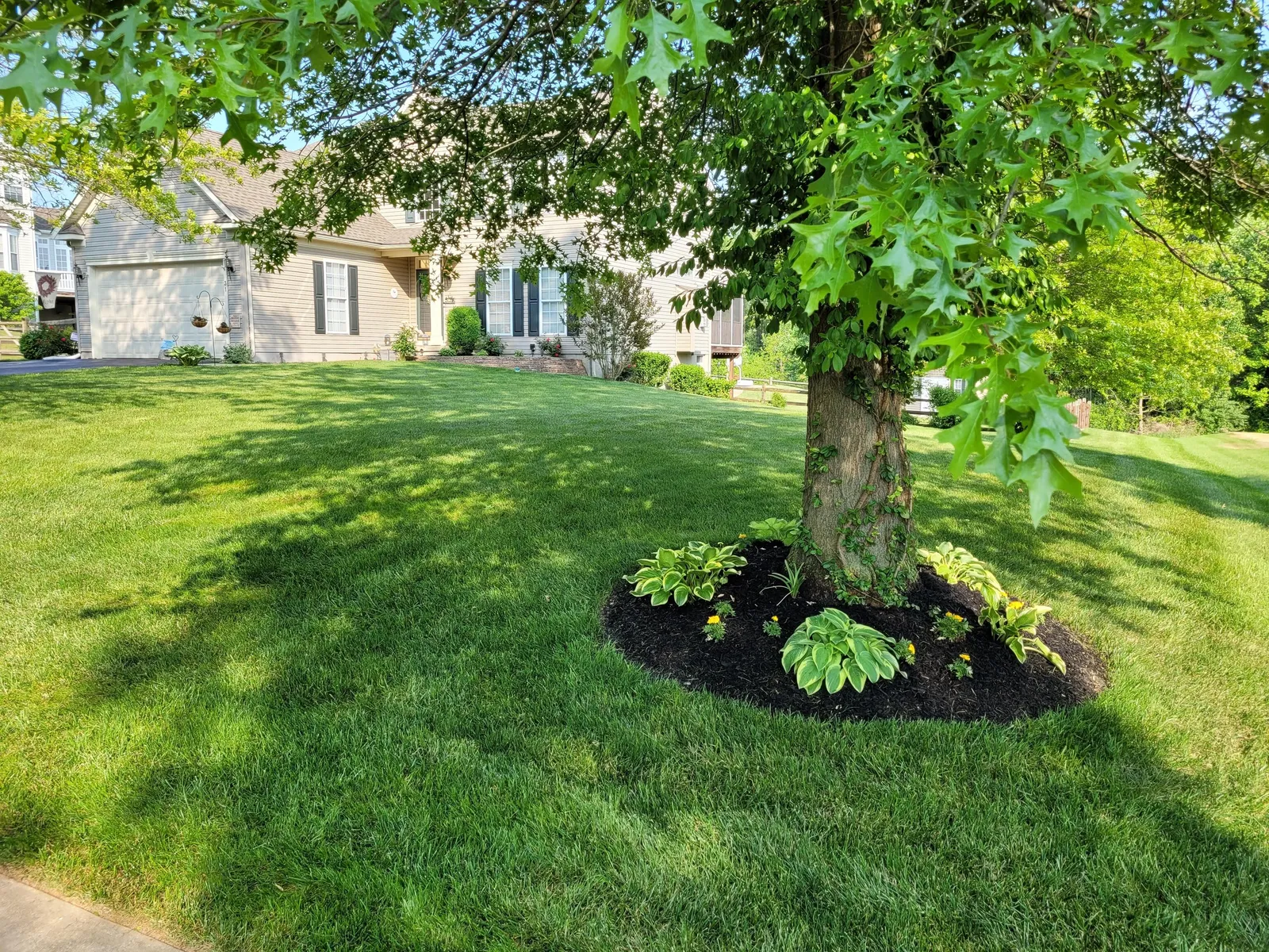 Green Lawn Fertilizing