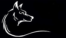 Wolfley Accounting, LLC logo