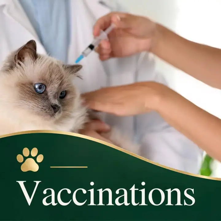 Pet Health Center Of Solon