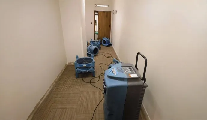 Dry Out Systems