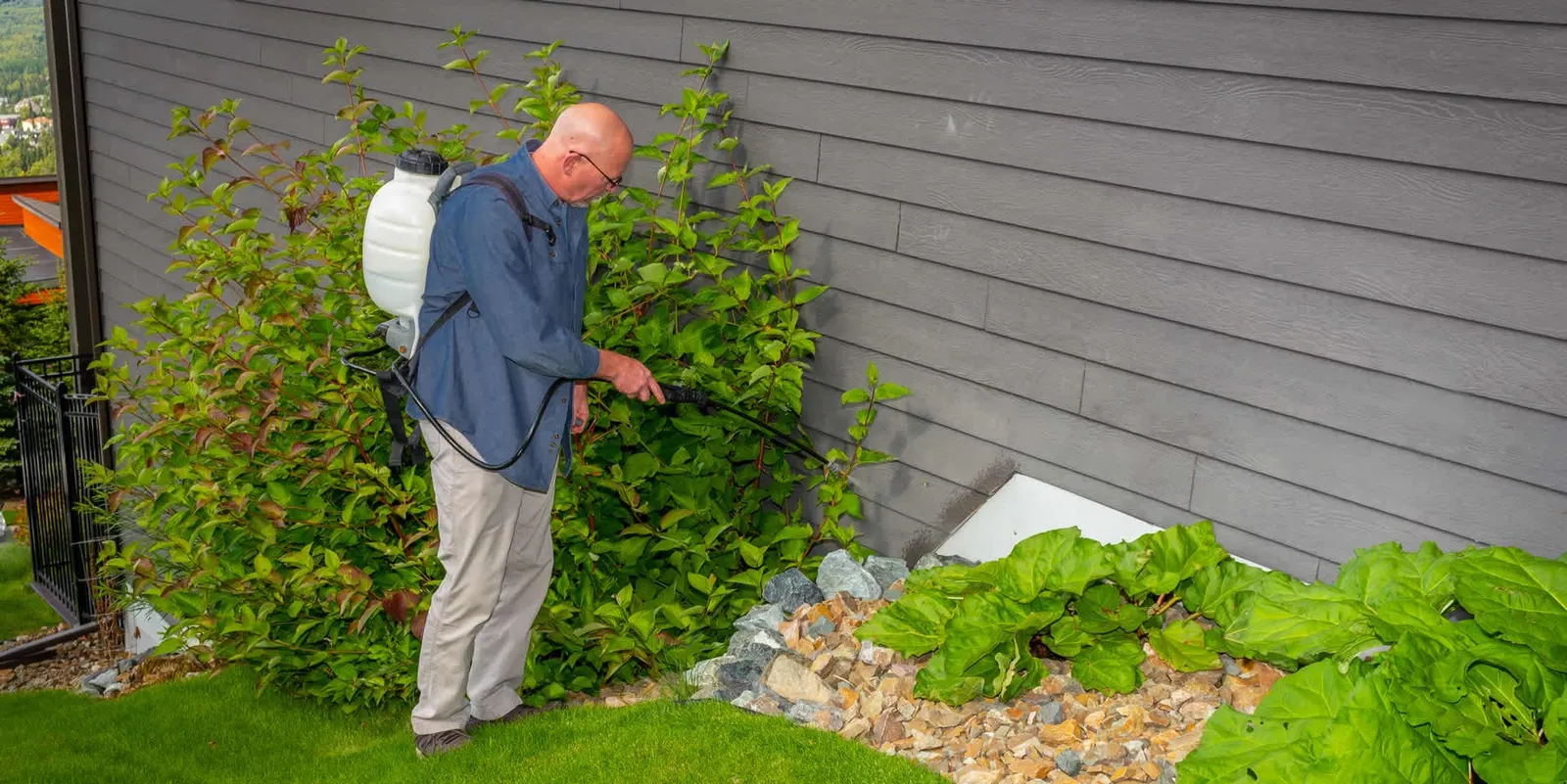 APEX Pest Control Solutions of Alaska