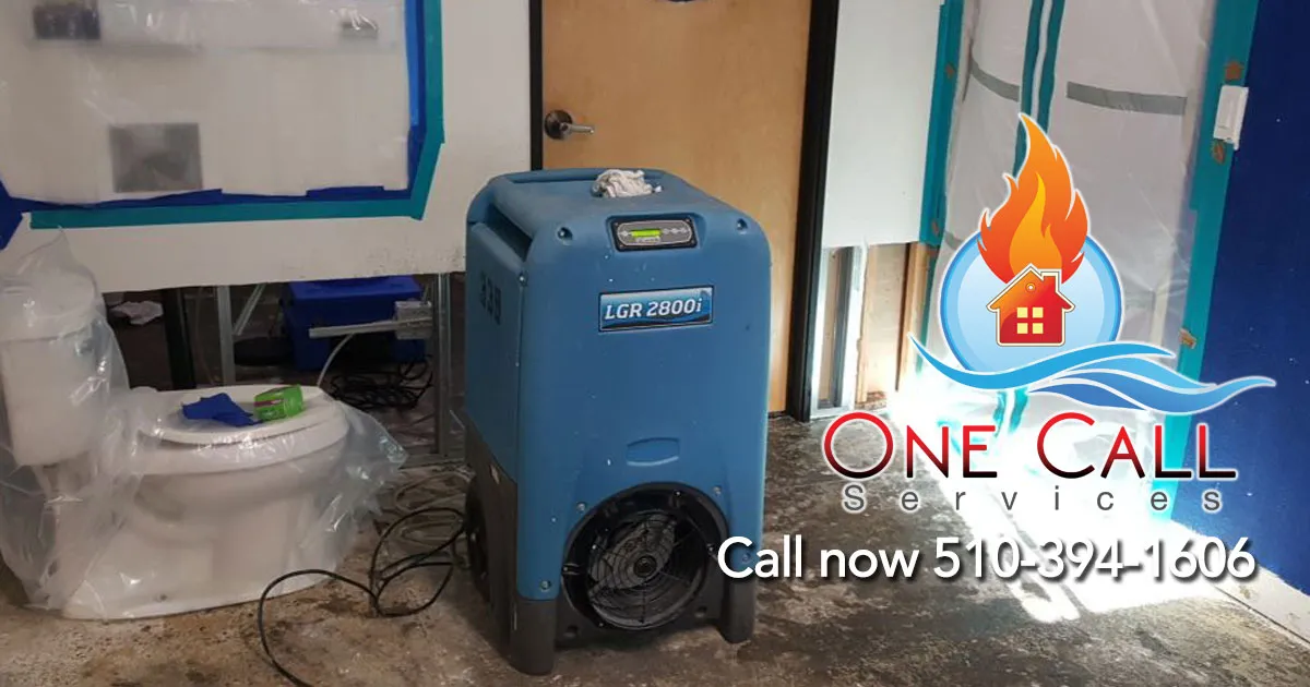 One Call Services