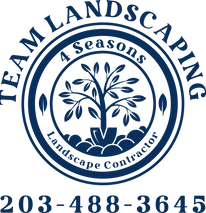 Team Landscaping logo