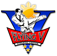 Flying V Martial Arts logo