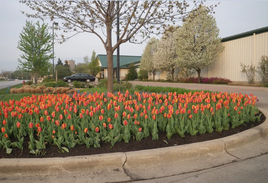 McAdam Landscaping