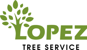 Lopez Tree Service logo