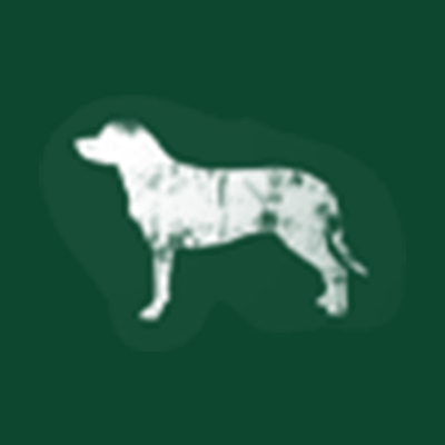 Black Dog logo