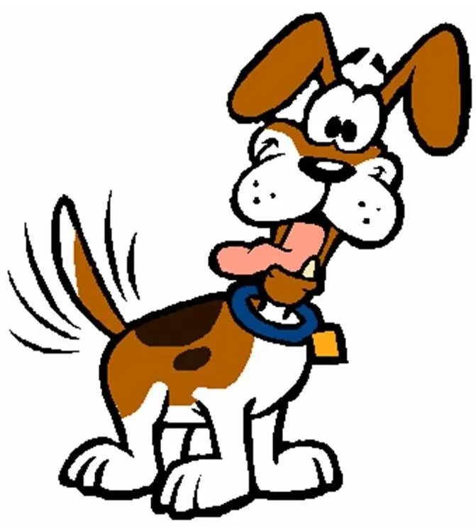 Wash Your Dog