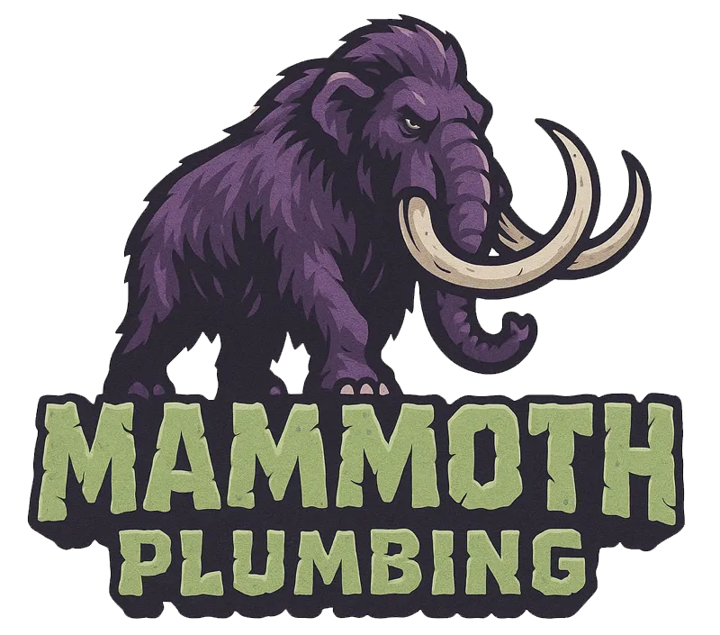 Mammoth Plumbing
