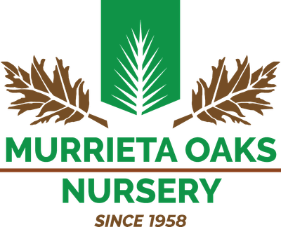 Murrieta Oaks Nursery logo