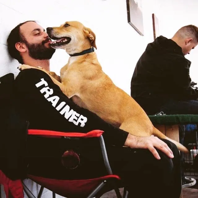 Holistic K9 Solutions