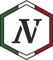 Noli's Vite logo