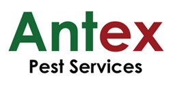 Antex Pest Services logo