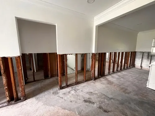 Water Damage Professionals