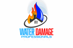 Water Damage Professionals logo