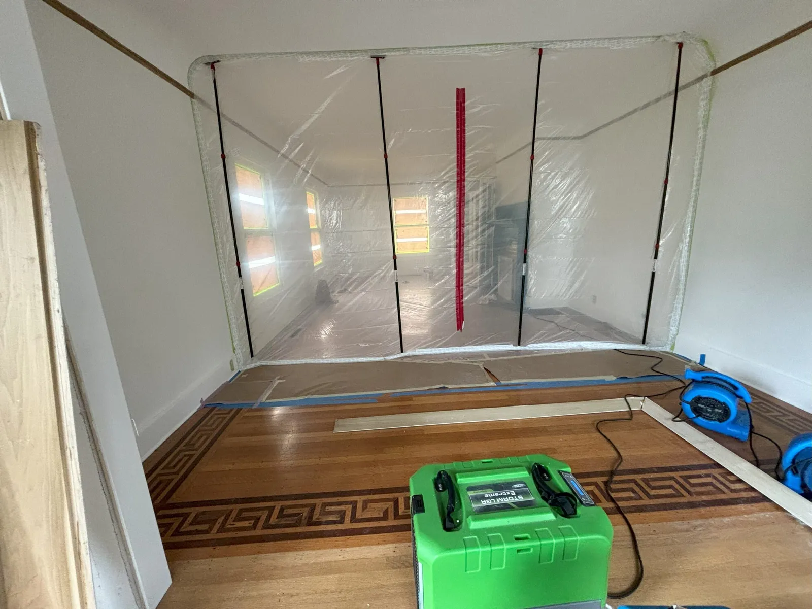 Pure Maintenance Mold Removal