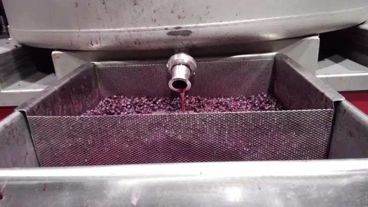 SIP D'VINE