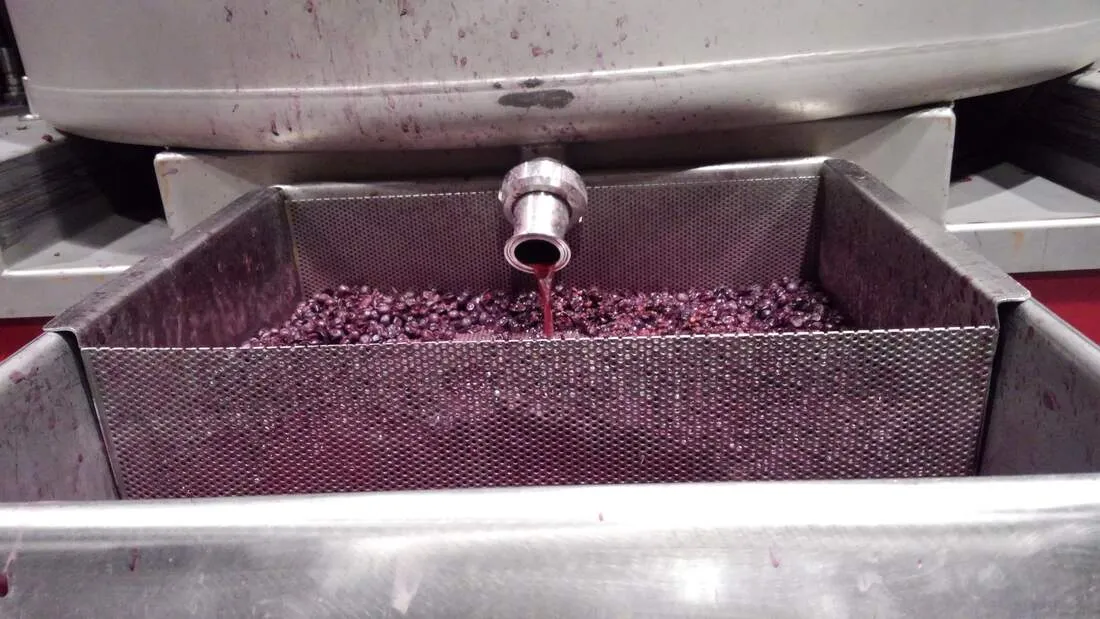 SIP D'VINE