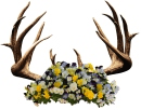 DEER HAVEN GREENHOUSE logo