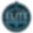 Elite Painting logo