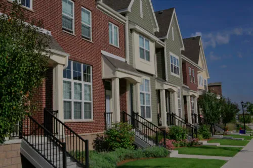 Environmental Pest Management