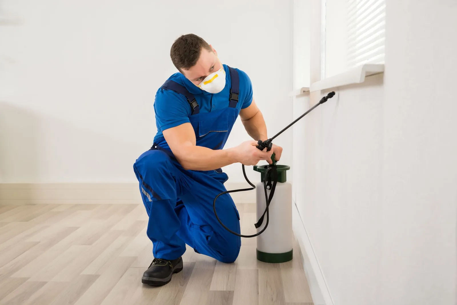 Reed's Pest Control