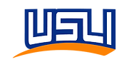 Absolute Insurance Solutions Inc logo