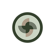 Professional Integrative Care logo