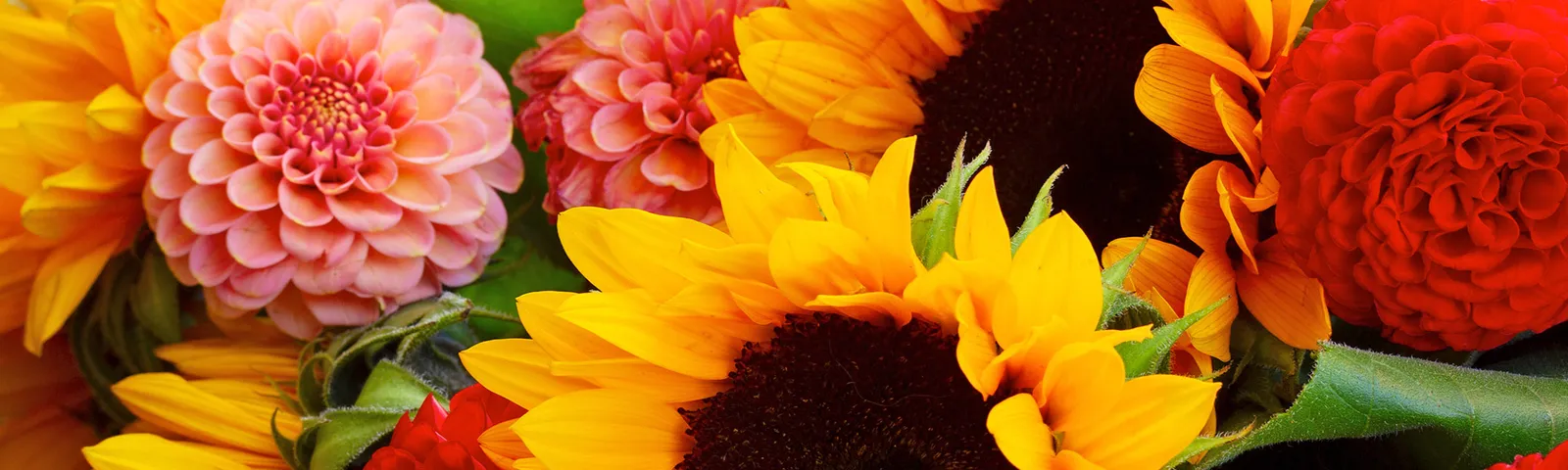 Griffin's Floral Design