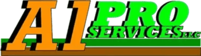 A1 Pro Services, LLC logo