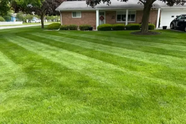 Silver Clean-Up Lawn Maintenance