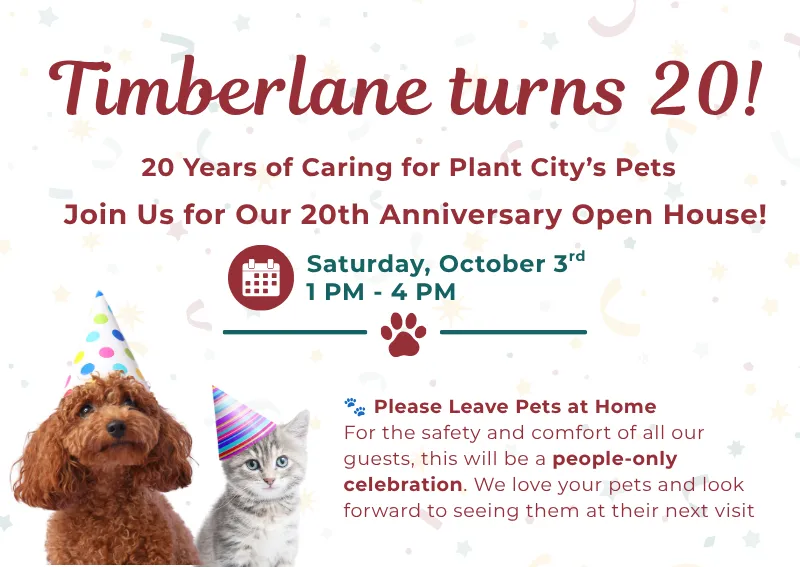Timberlane Pet Hospital & Resort