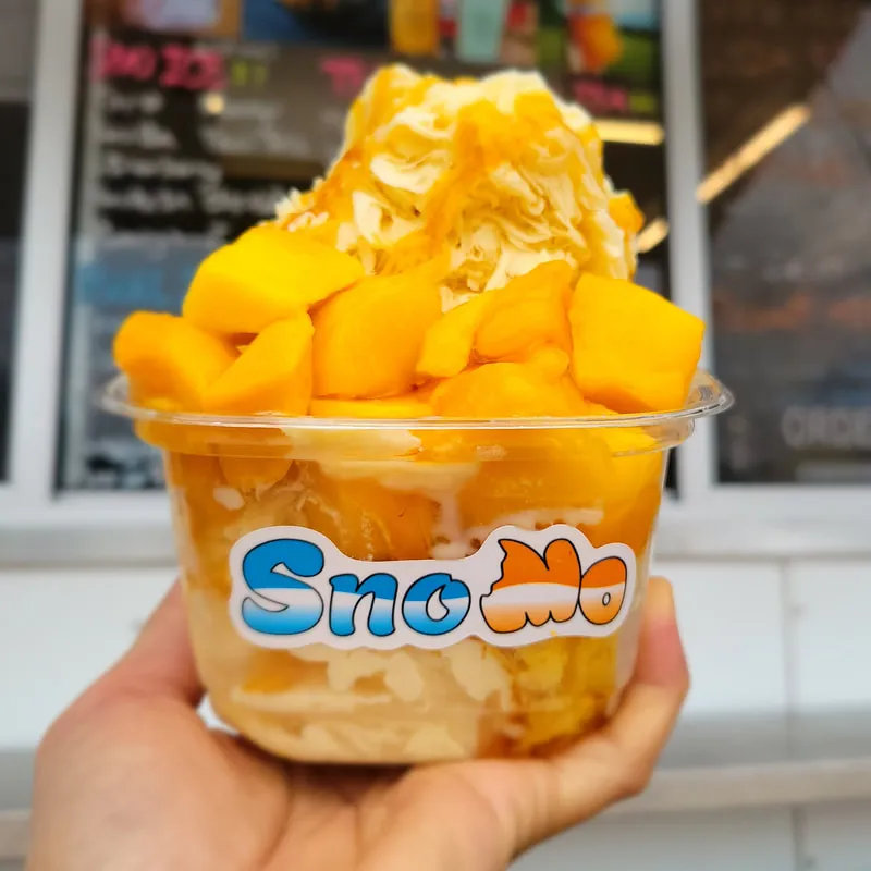SnoMo