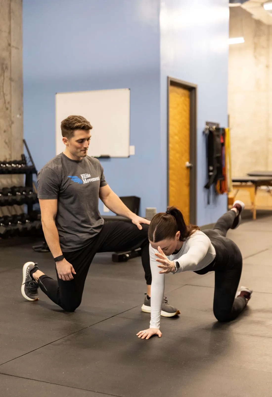 Elite Movement Physical Therapy & Personal Training