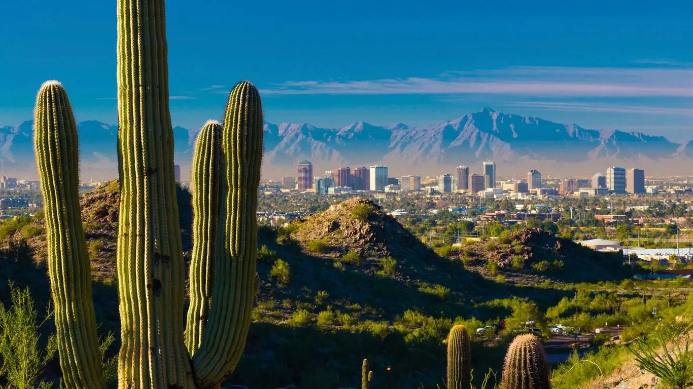 Phoenix Real Estate Group