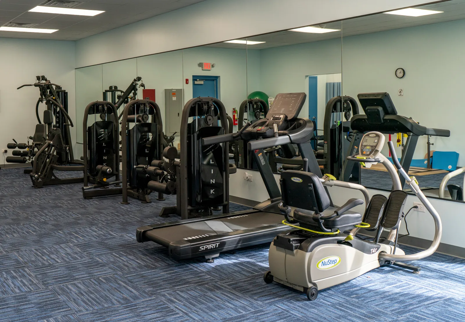 Physical Therapy Near Me