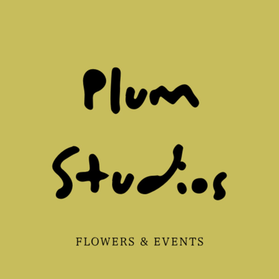 PLUM STUDIOS logo